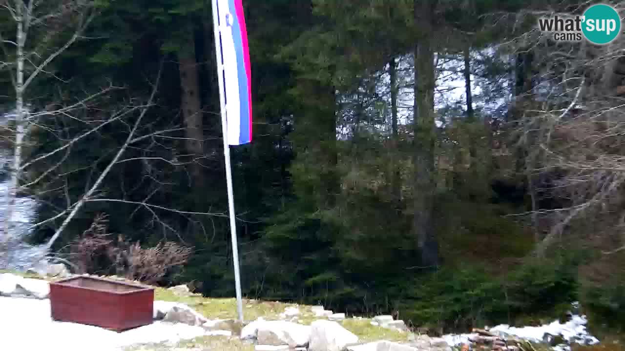 Webcam Lukanja – Pohorje houses a Water village