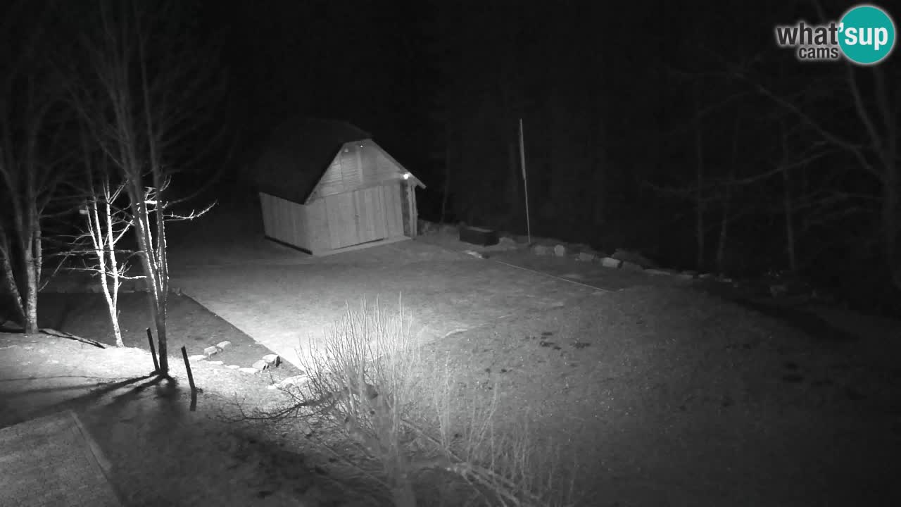 Webcam Lukanja – Pohorje houses a Water village