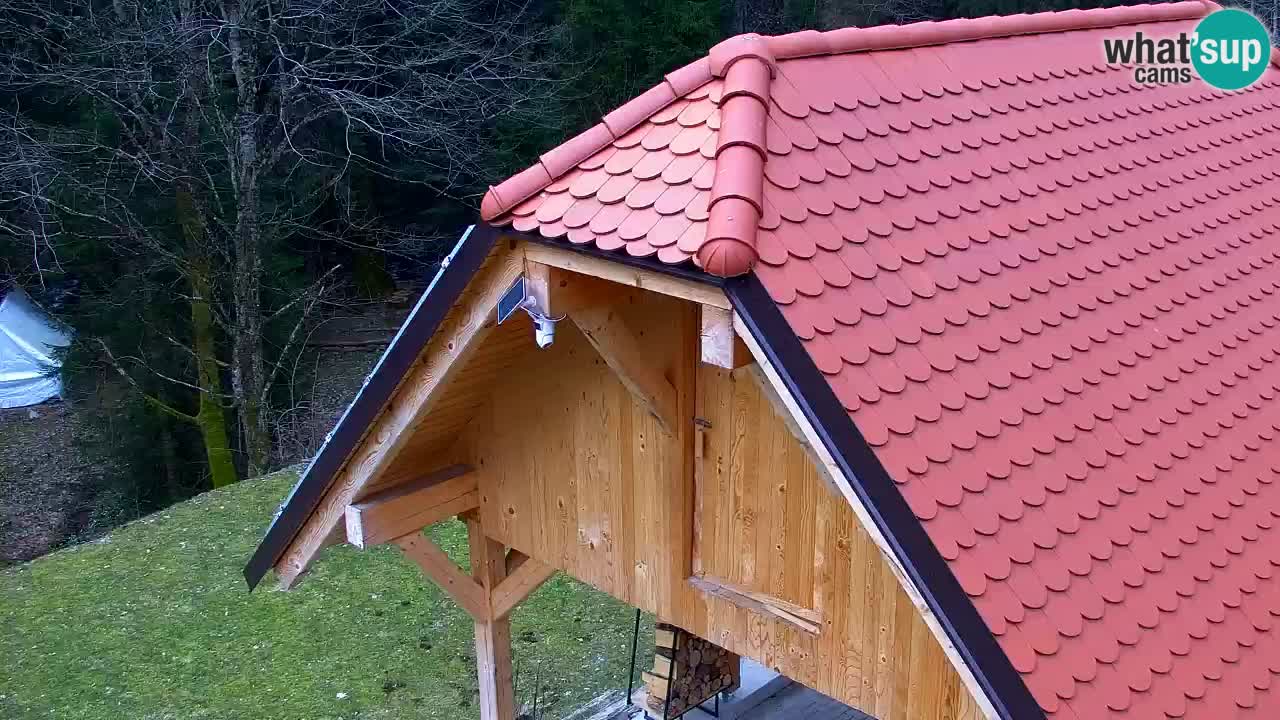 Webcam Lukanja – Water Village | Pohorje Houses