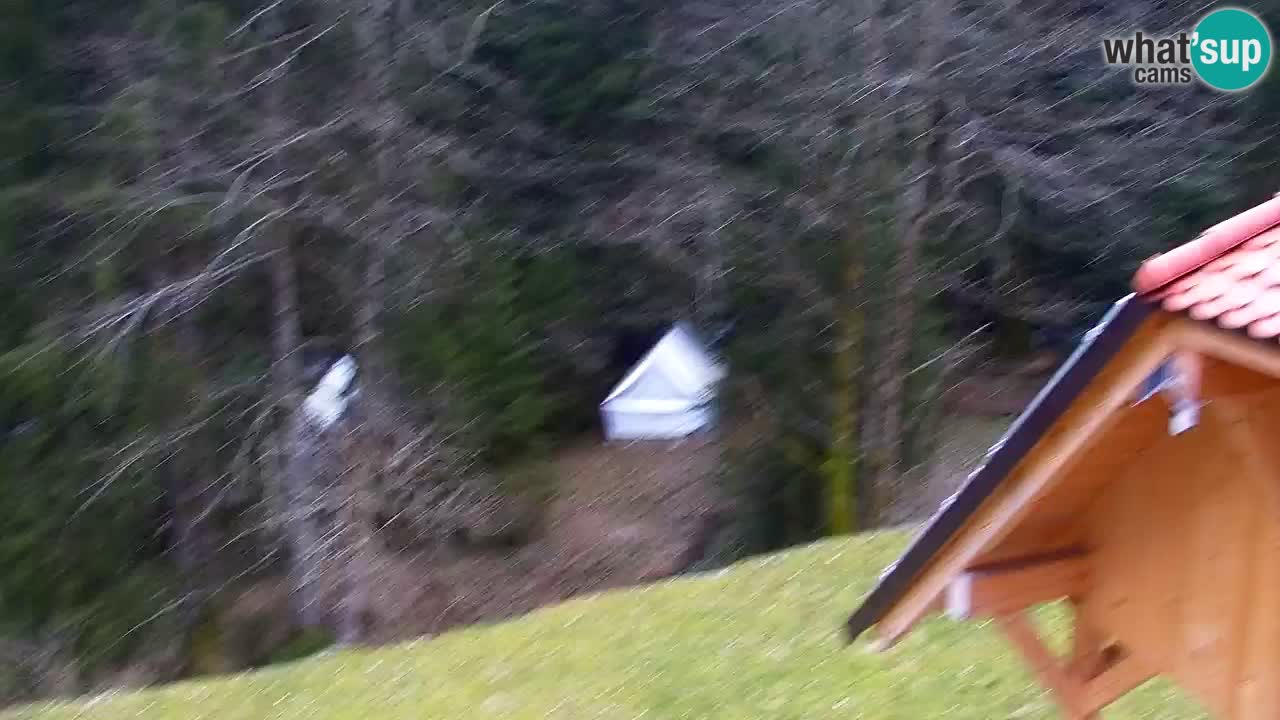 Webcam Lukanja – Water Village | Pohorje Houses