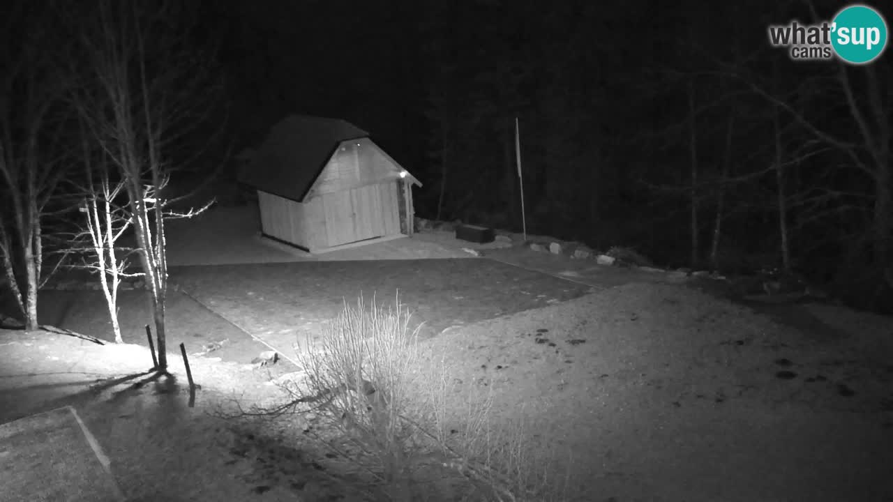 Webcam Lukanja – Pohorje houses a Water village