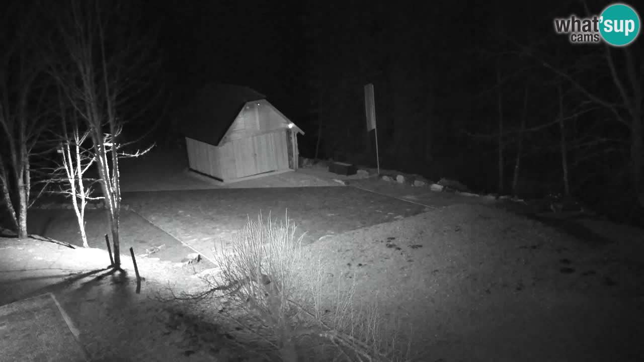 Webcam Lukanja – Pohorje houses a Water village