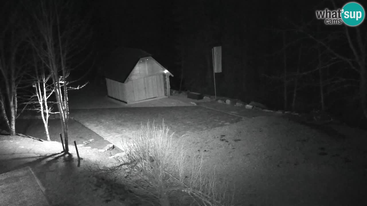 Webcam Lukanja – Water Village | Pohorje Houses