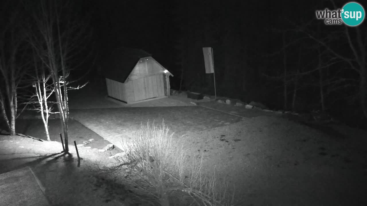 Webcam Lukanja – Pohorje houses a Water village