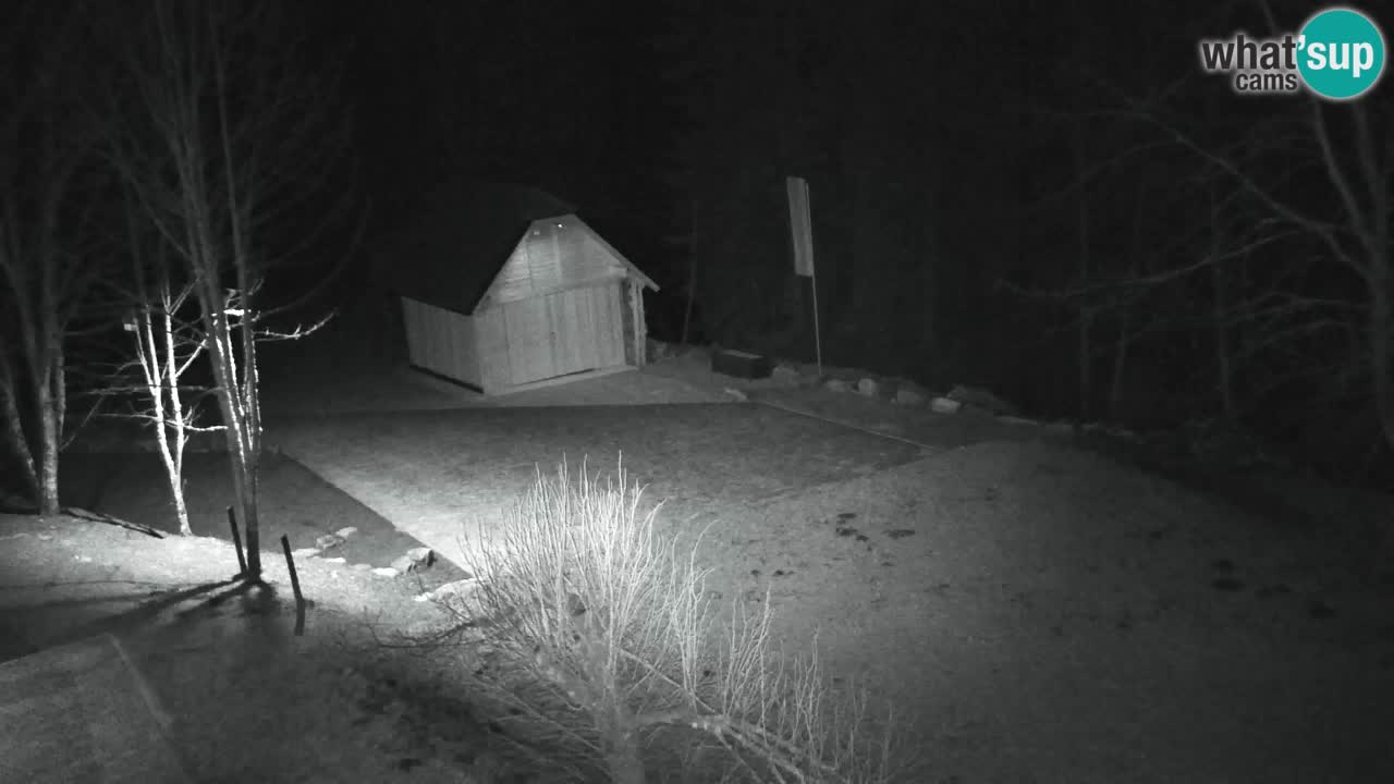 Webcam Lukanja – Water Village | Pohorje Houses