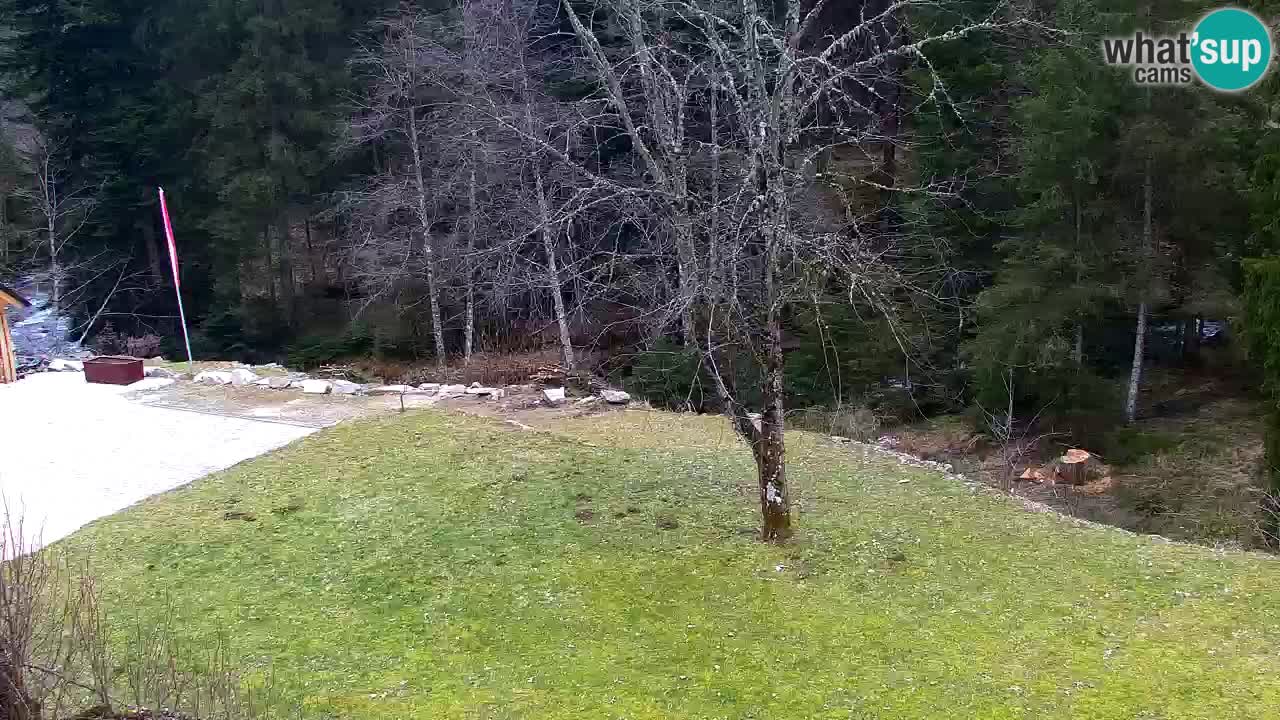 Webcam Lukanja – Water Village | Pohorje Houses