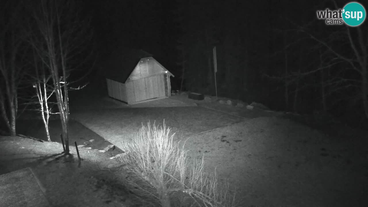 Spletna kamera Lukanja – Water Village | Pohorje Houses