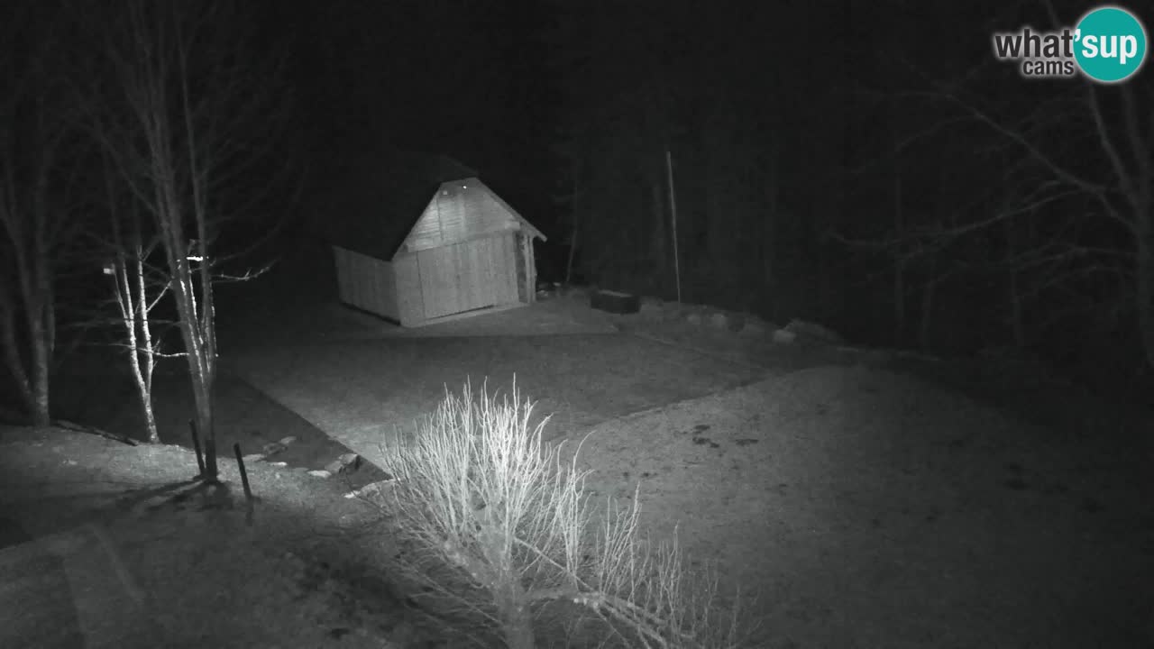 Web kamera Lukanja – Water Village | Pohorje Houses