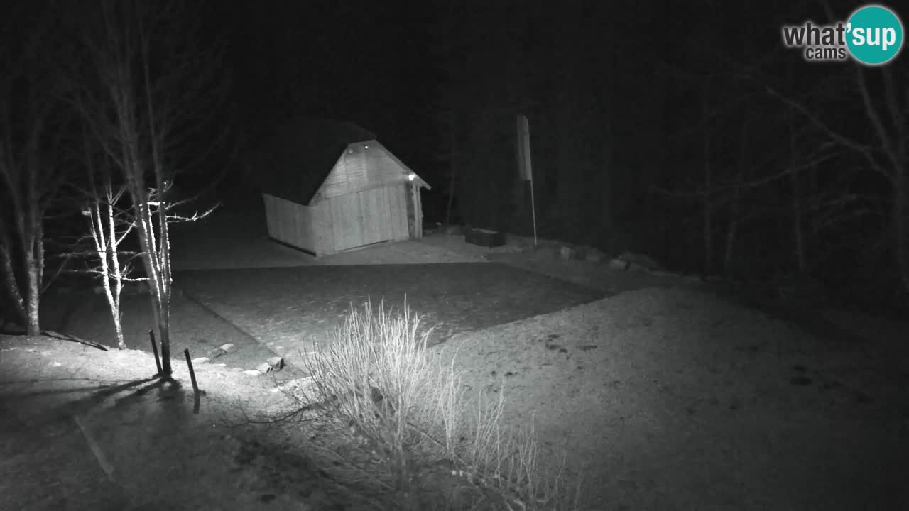 Webcam Lukanja – Water Village | Pohorje Houses