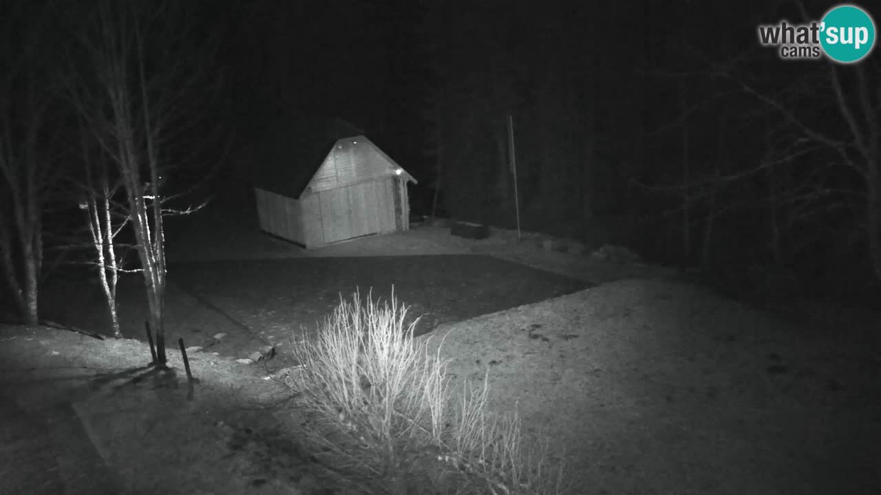 Webcam Lukanja – Pohorje houses a Water village