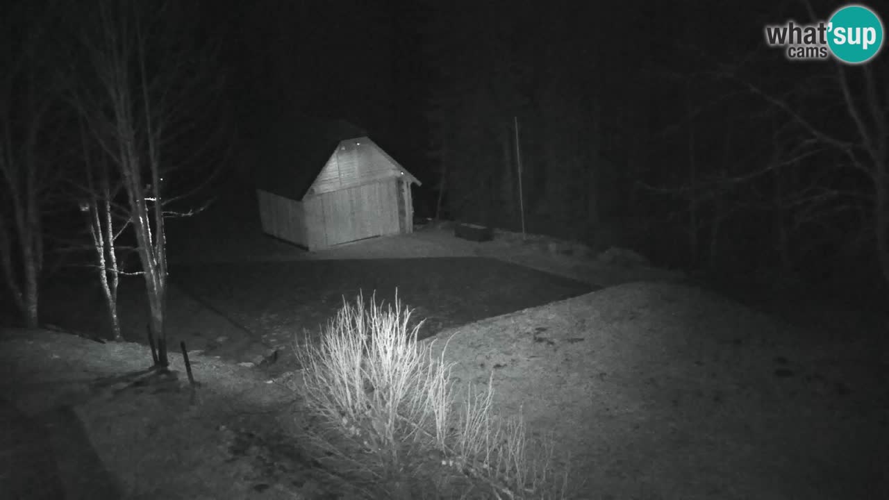 Webcam Lukanja – Pohorje houses a Water village