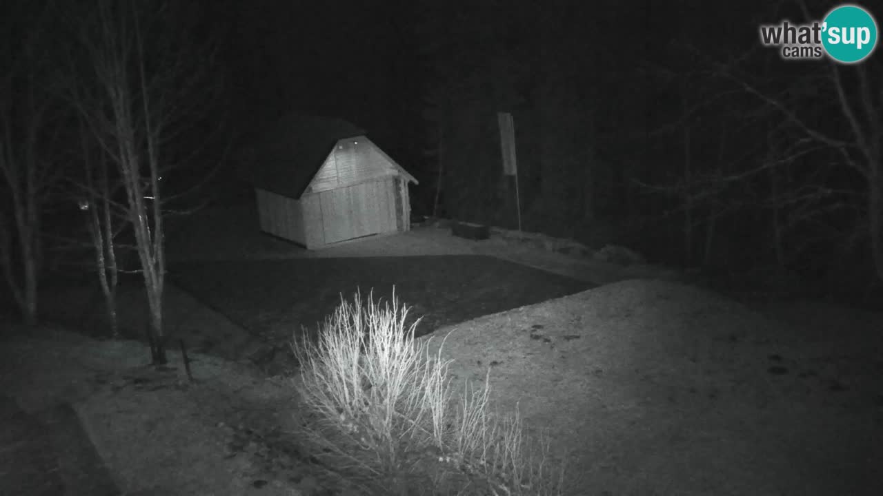 Webcam Lukanja – Water Village | Pohorje Houses