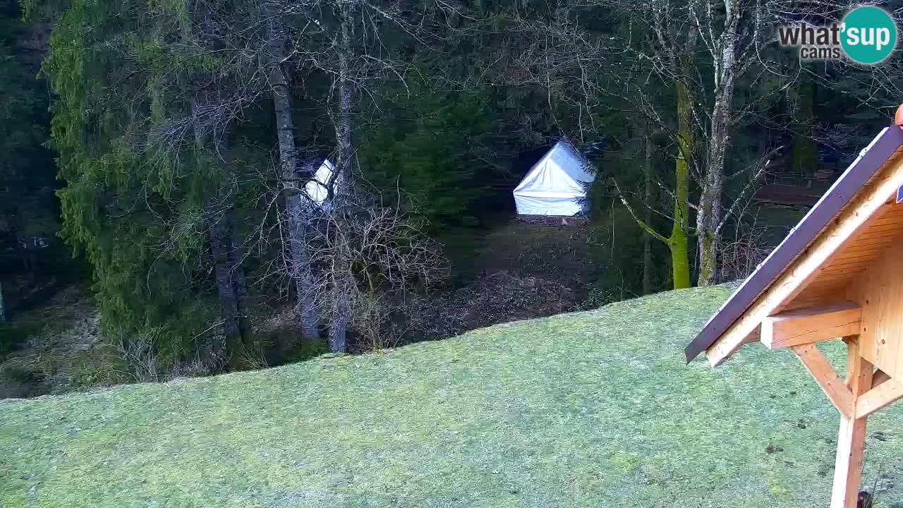 Webcam Lukanja – Water Village | Pohorje Houses