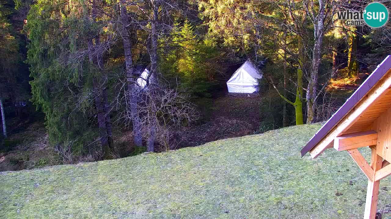 Webcam Lukanja – Pohorje houses a Water village