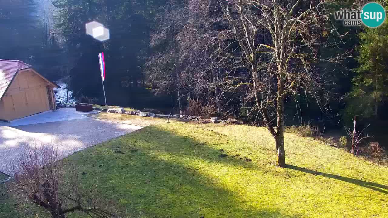 Web kamera Lukanja – Water Village | Pohorje Houses