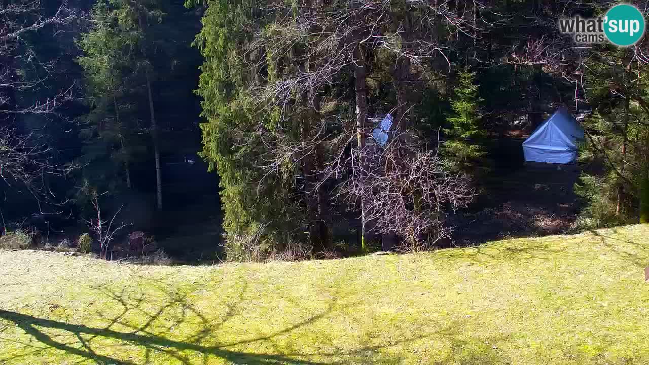 Webcam Lukanja – Water Village | Pohorje Houses