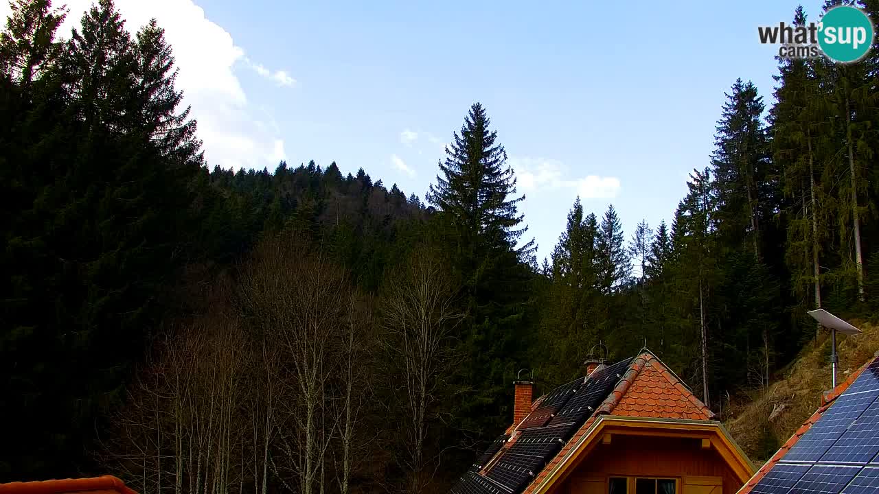 Webcam Lukanja – Water Village | Pohorje Houses