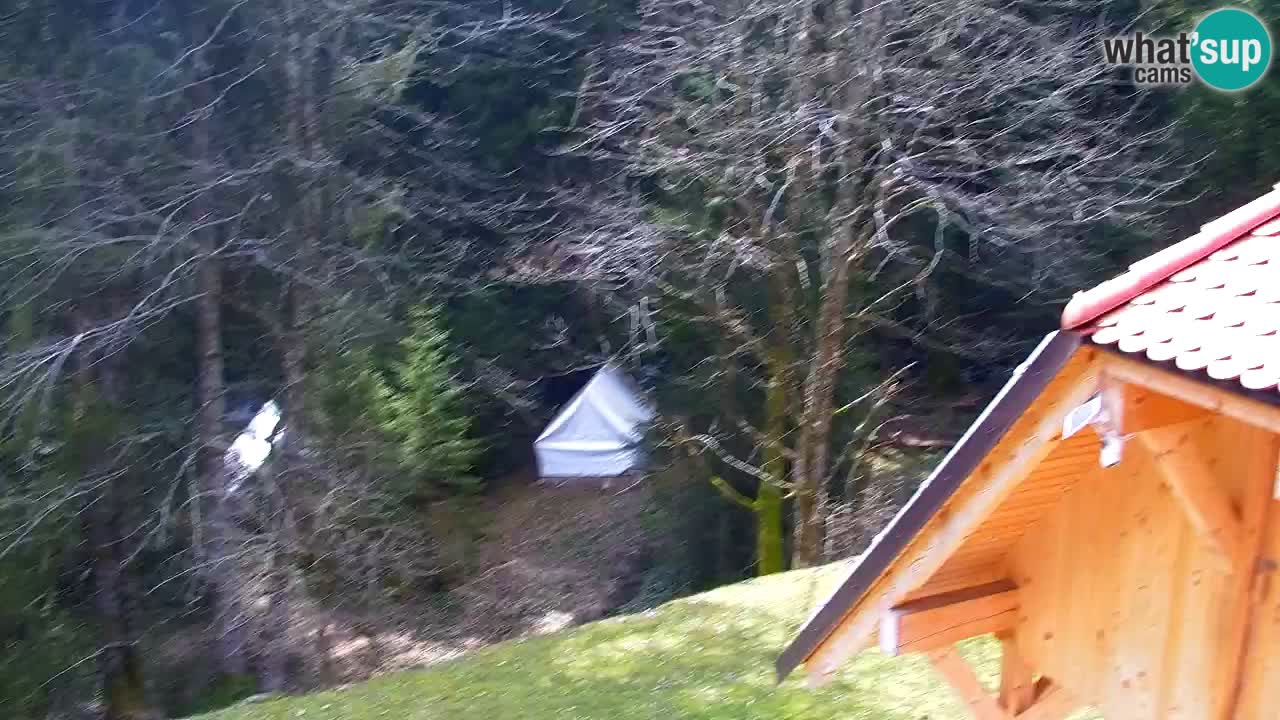 Webcam Lukanja – Water Village | Pohorje Houses