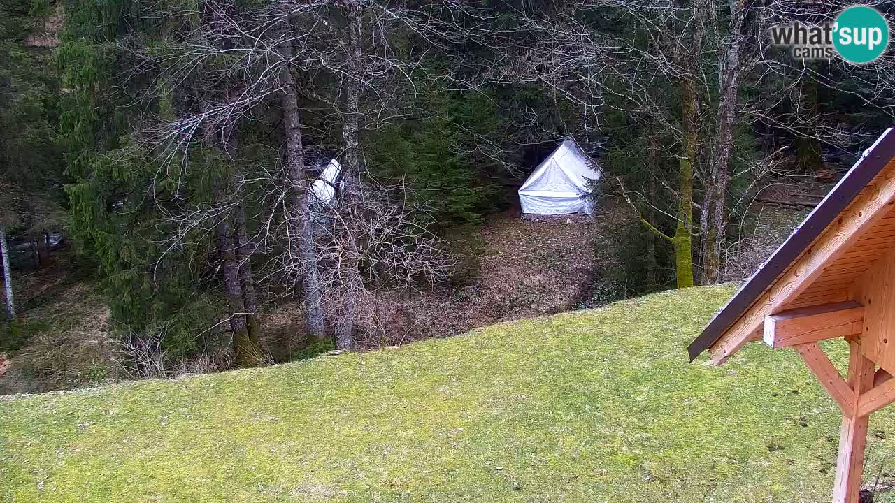 Webcam Lukanja – Water Village | Pohorje Houses