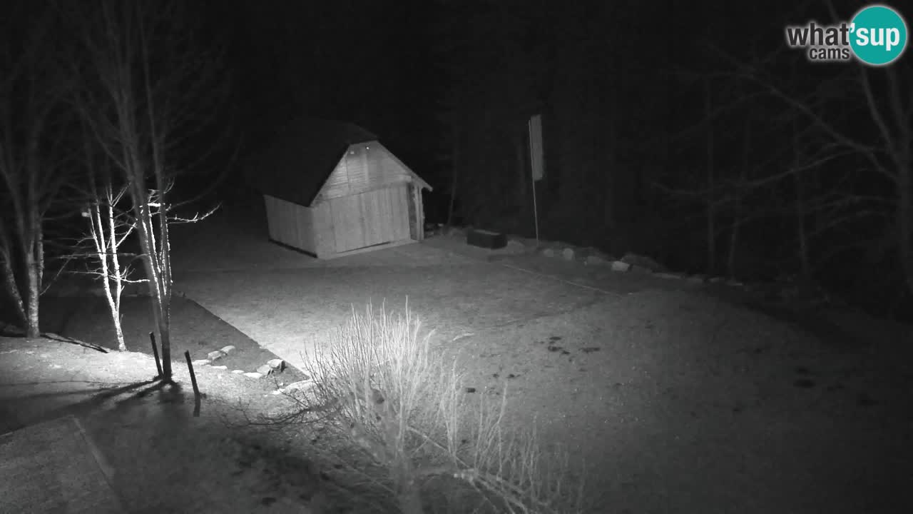 Spletna kamera Lukanja – Water Village | Pohorje Houses