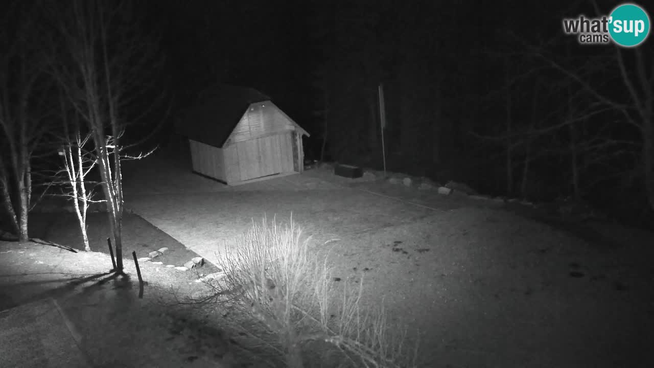 Webcam Lukanja – Water Village | Pohorje Houses