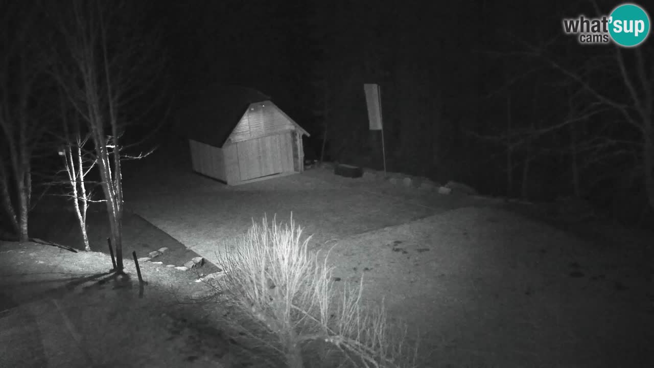 Spletna kamera Lukanja – Water Village | Pohorje Houses