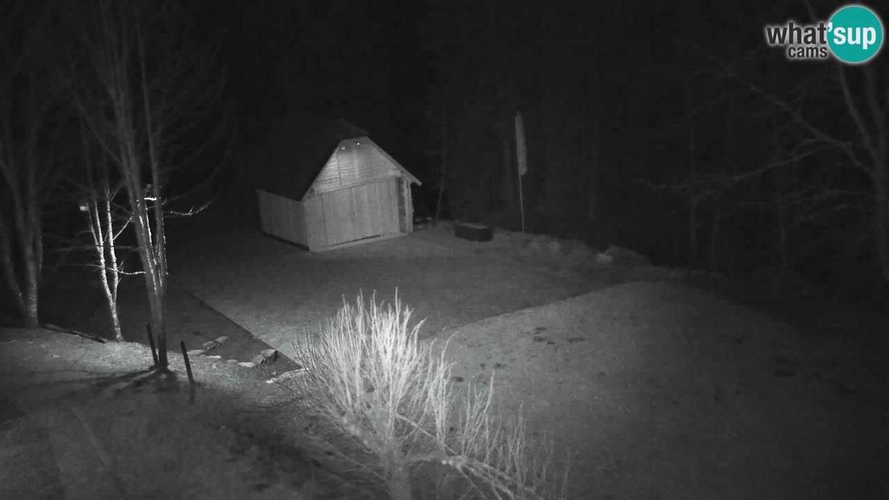 Webcam Lukanja – Water Village | Pohorje Houses