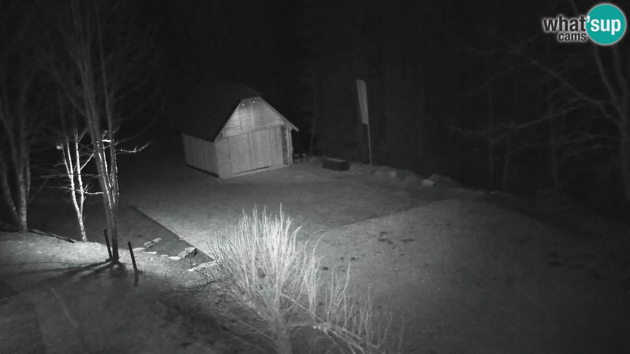 Webcam Lukanja – Water Village | Pohorje Houses