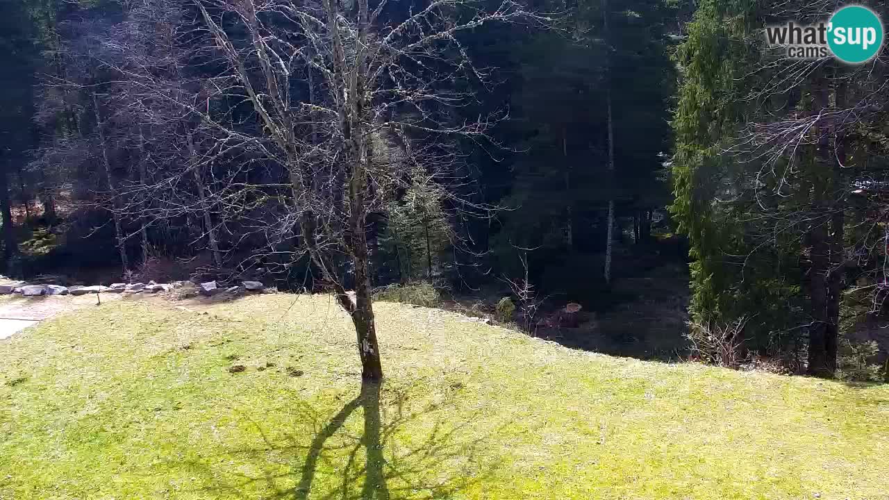 Webcam Lukanja – Pohorje houses a Water village