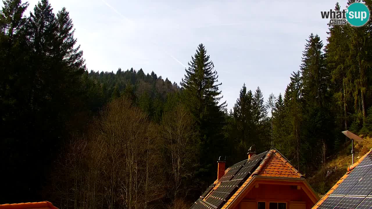 Web kamera Lukanja – Water Village | Pohorje Houses