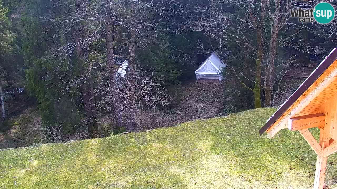 Web kamera Lukanja – Water Village | Pohorje Houses