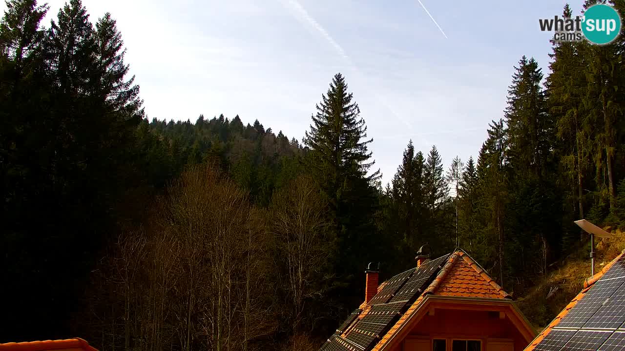 Web kamera Lukanja – Water Village | Pohorje Houses