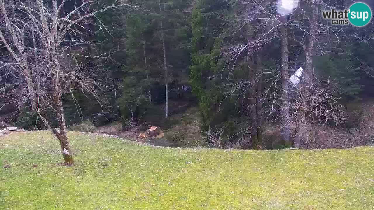 Webcam Lukanja – Pohorje houses a Water village