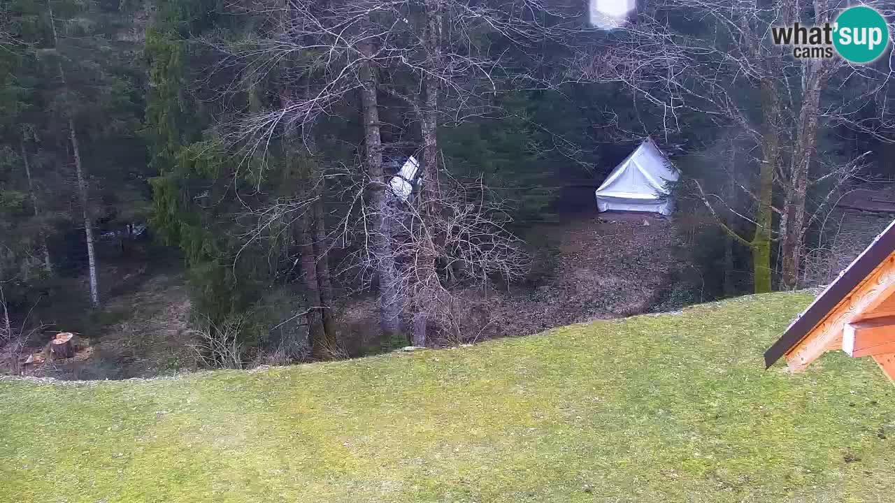 Webcam Lukanja – Water Village | Pohorje Houses