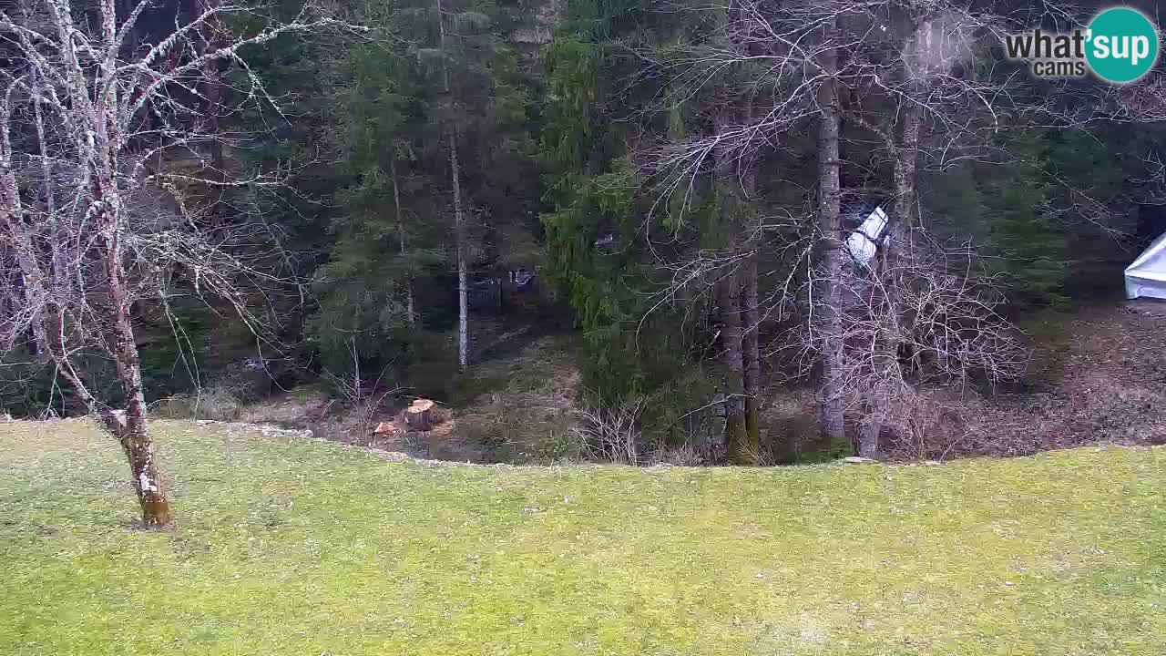 Webcam Lukanja – Water Village | Pohorje Houses