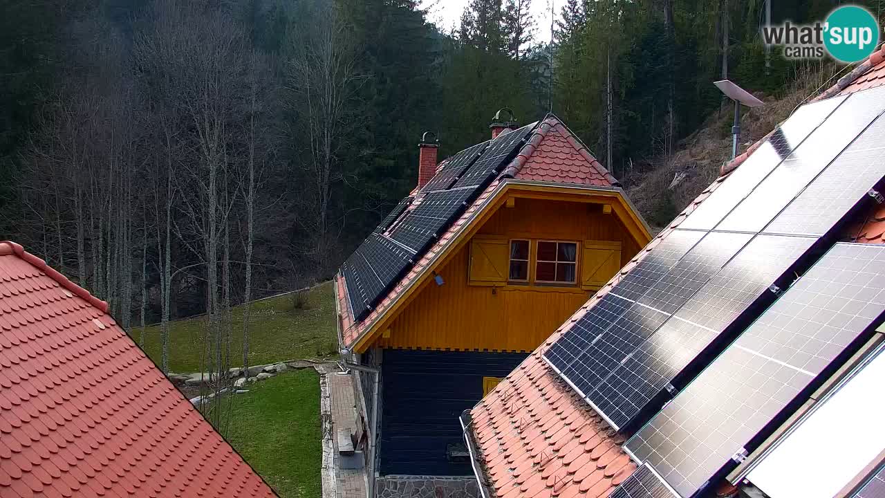 Webcam Lukanja – Water Village | Pohorje Houses