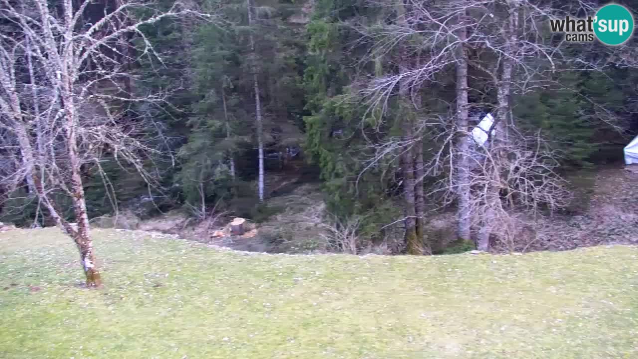 Web kamera Lukanja – Water Village | Pohorje Houses