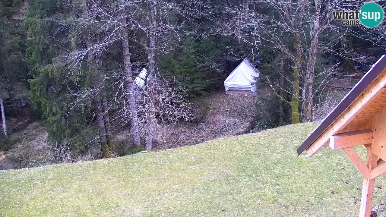 Webcam Lukanja – Water Village | Pohorje Houses