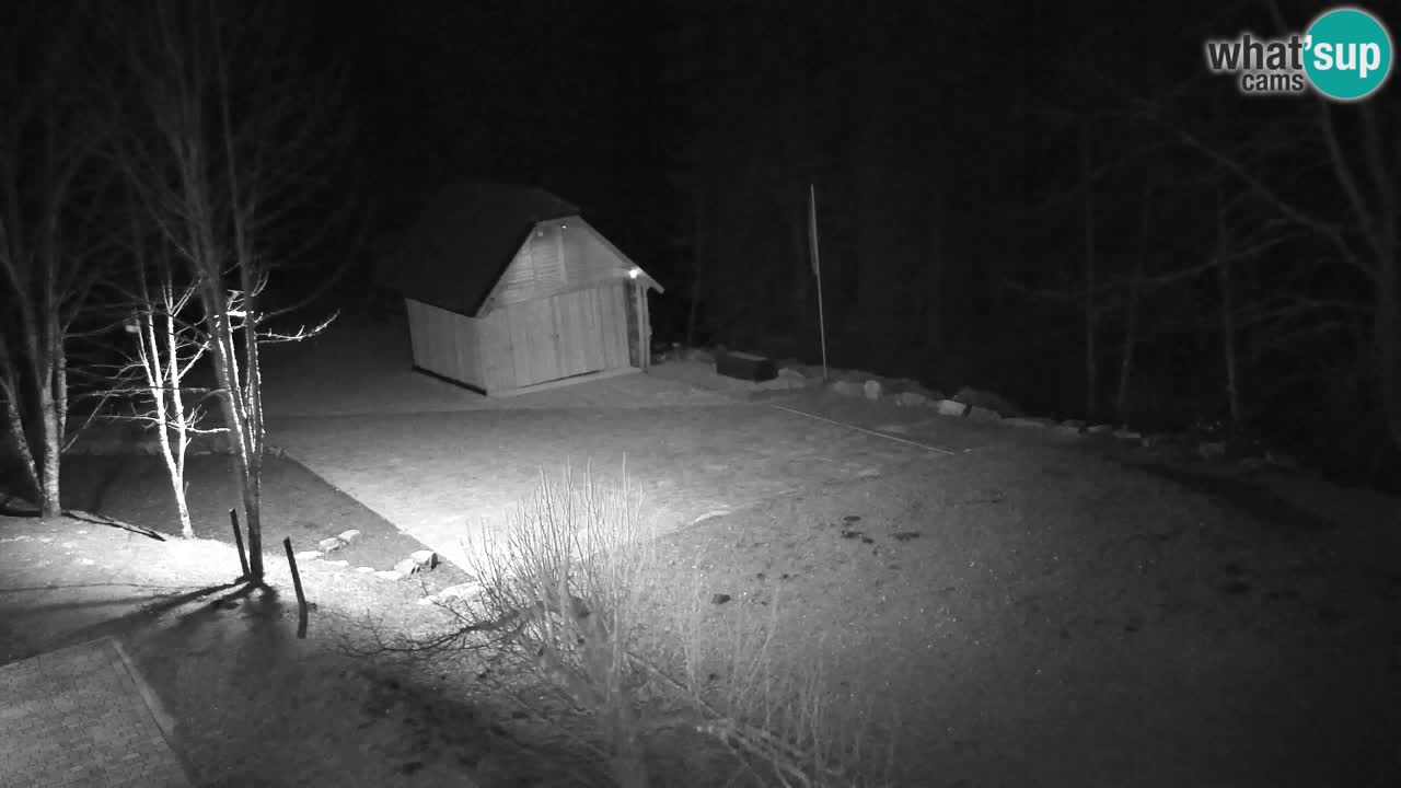 Webcam Lukanja – Pohorje houses a Water village