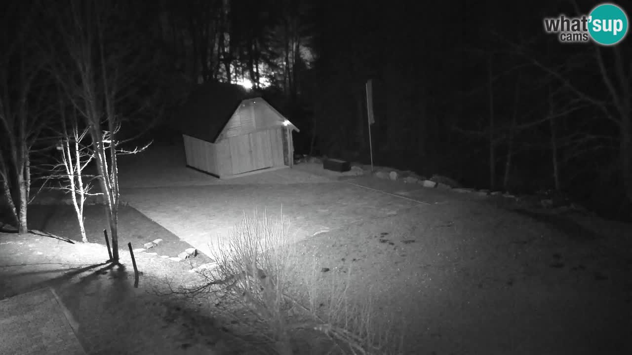 Webcam Lukanja – Water Village | Pohorje Houses