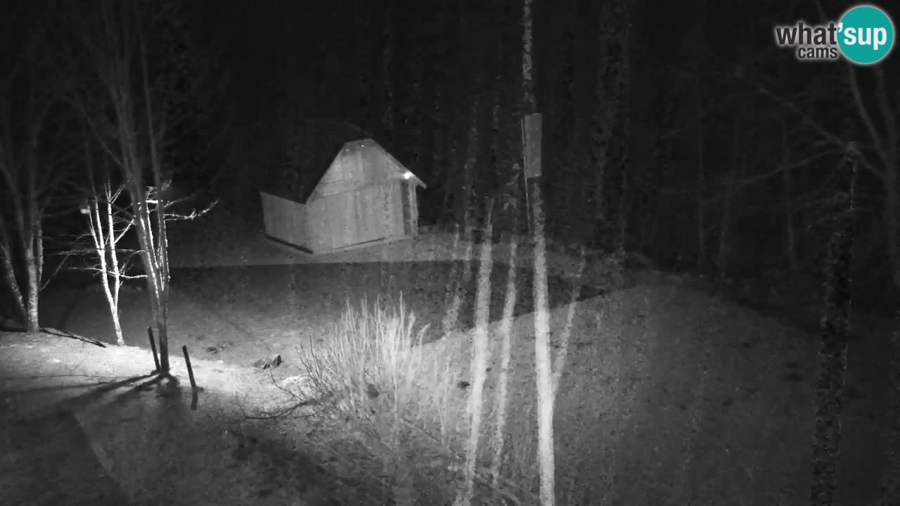 Webcam Lukanja – Pohorje houses a Water village