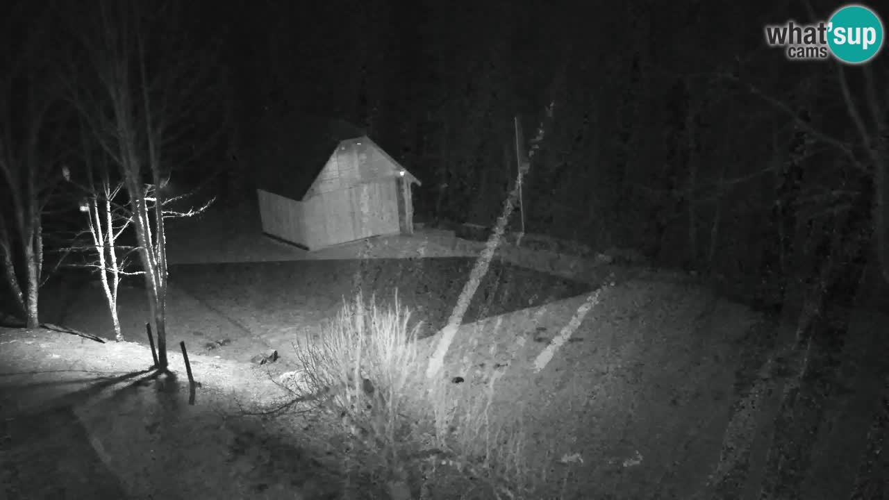 Webcam Lukanja – Pohorje houses a Water village