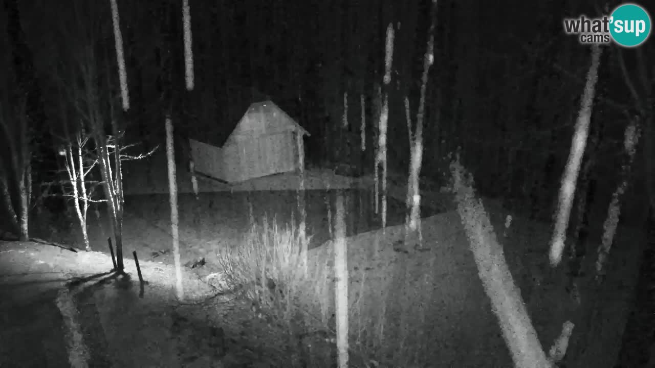 Webcam Lukanja – Water Village | Pohorje Houses