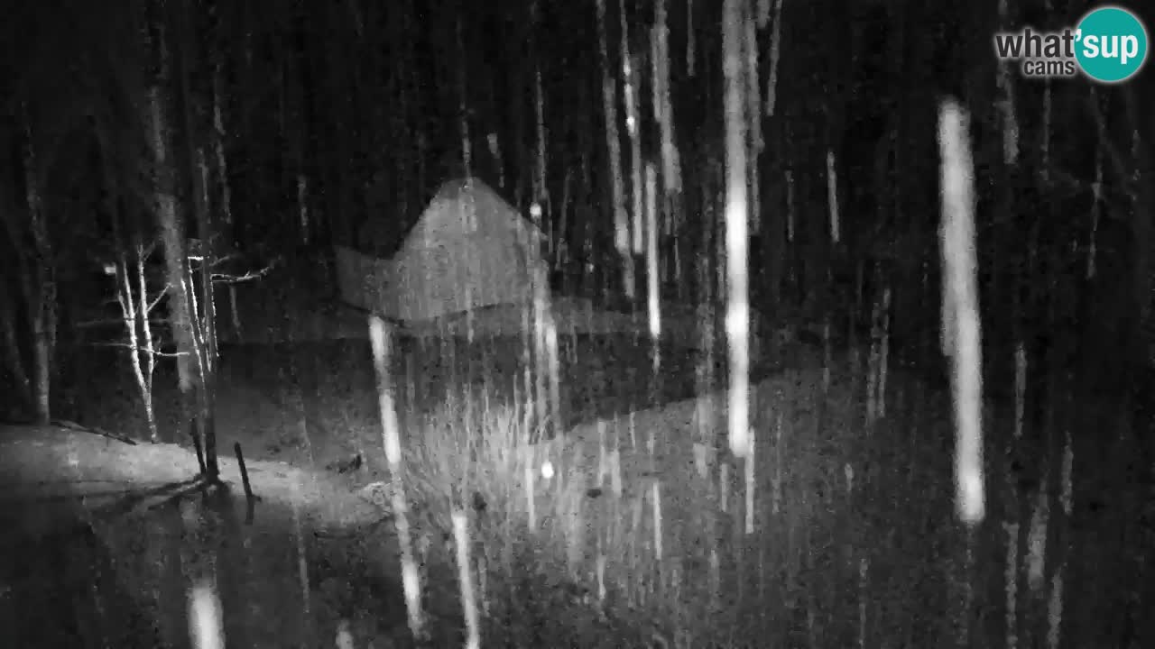 Webcam Lukanja – Pohorje houses a Water village