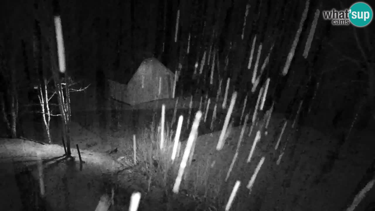 Webcam Lukanja – Water Village | Pohorje Houses