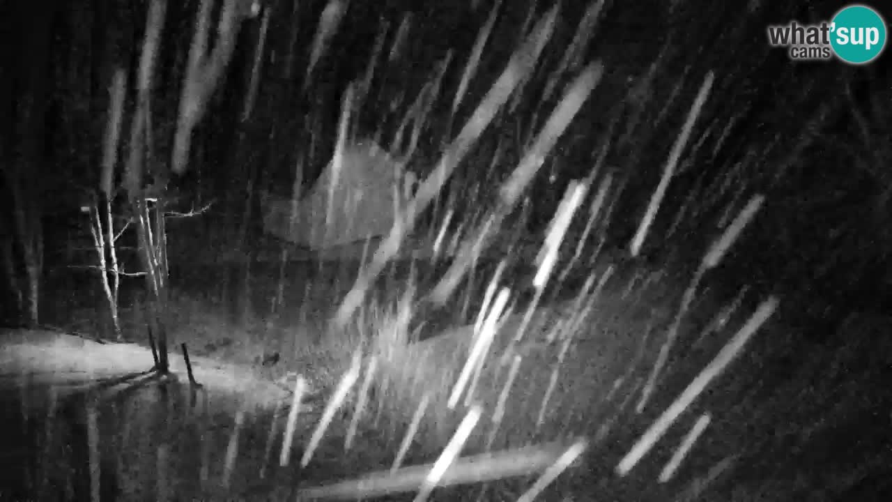 Webcam Lukanja – Water Village | Pohorje Houses