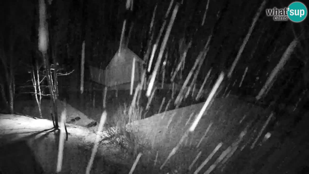 Webcam Lukanja – Water Village | Pohorje Houses