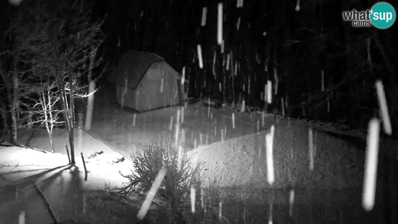 Webcam Lukanja – Pohorje houses a Water village