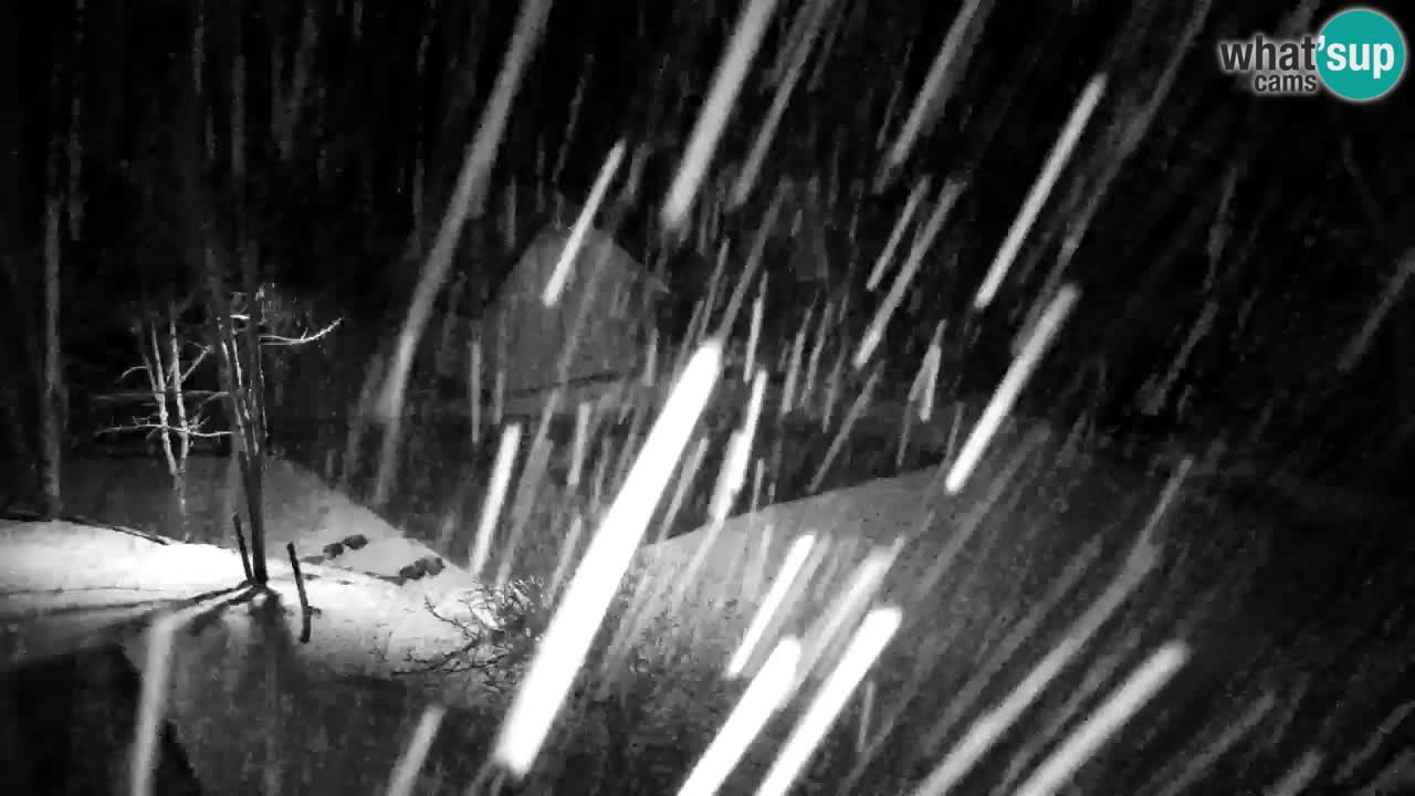 Webcam Lukanja – Water Village | Pohorje Houses