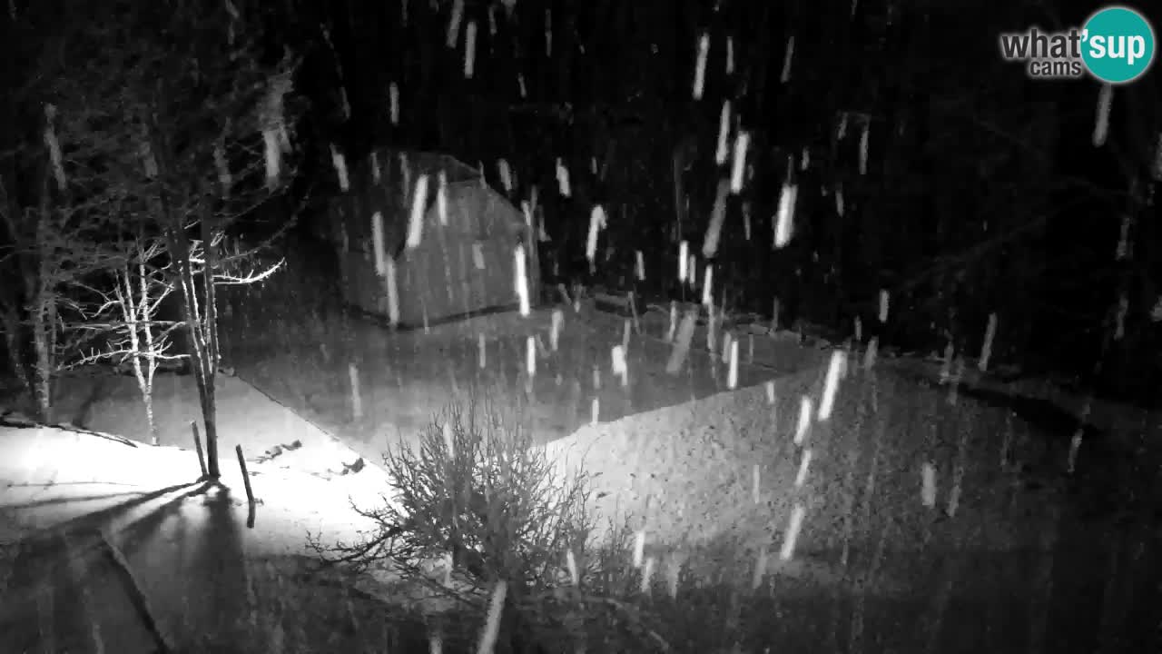 Webcam Lukanja – Water Village | Pohorje Houses